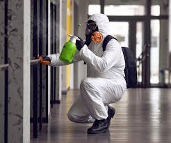 Morada, CA Mold Remediation Company